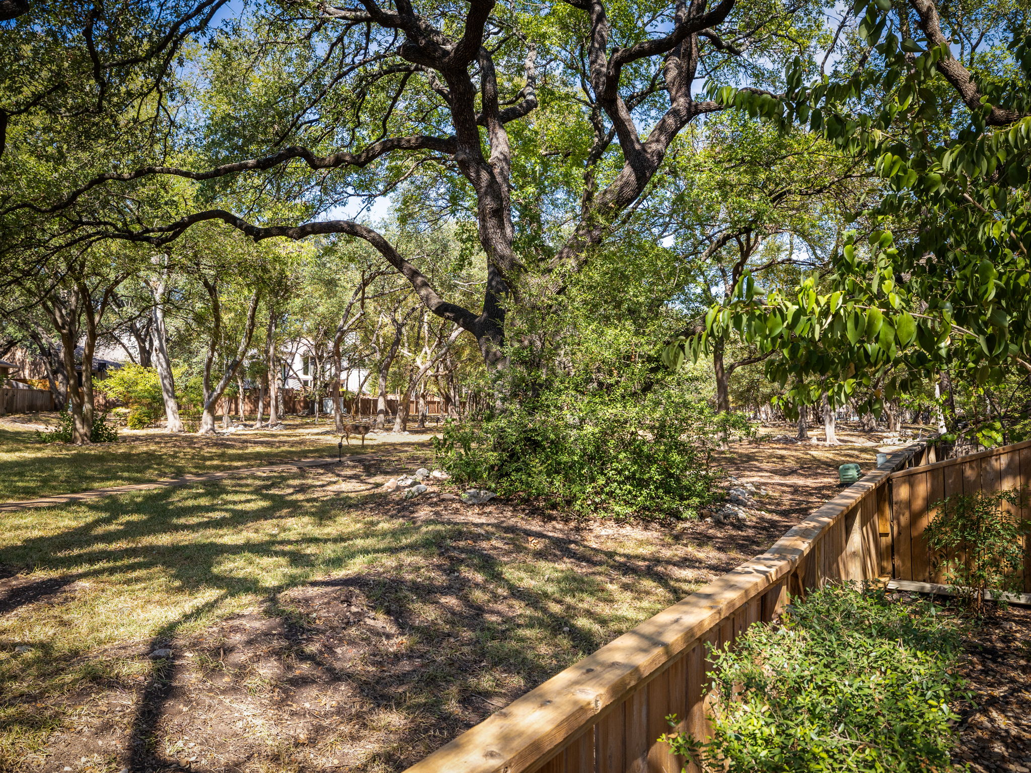 8216 Summer Side Drive Austin, TX 78759 - Photo 30 of 32 How good would it be looking at this every day?