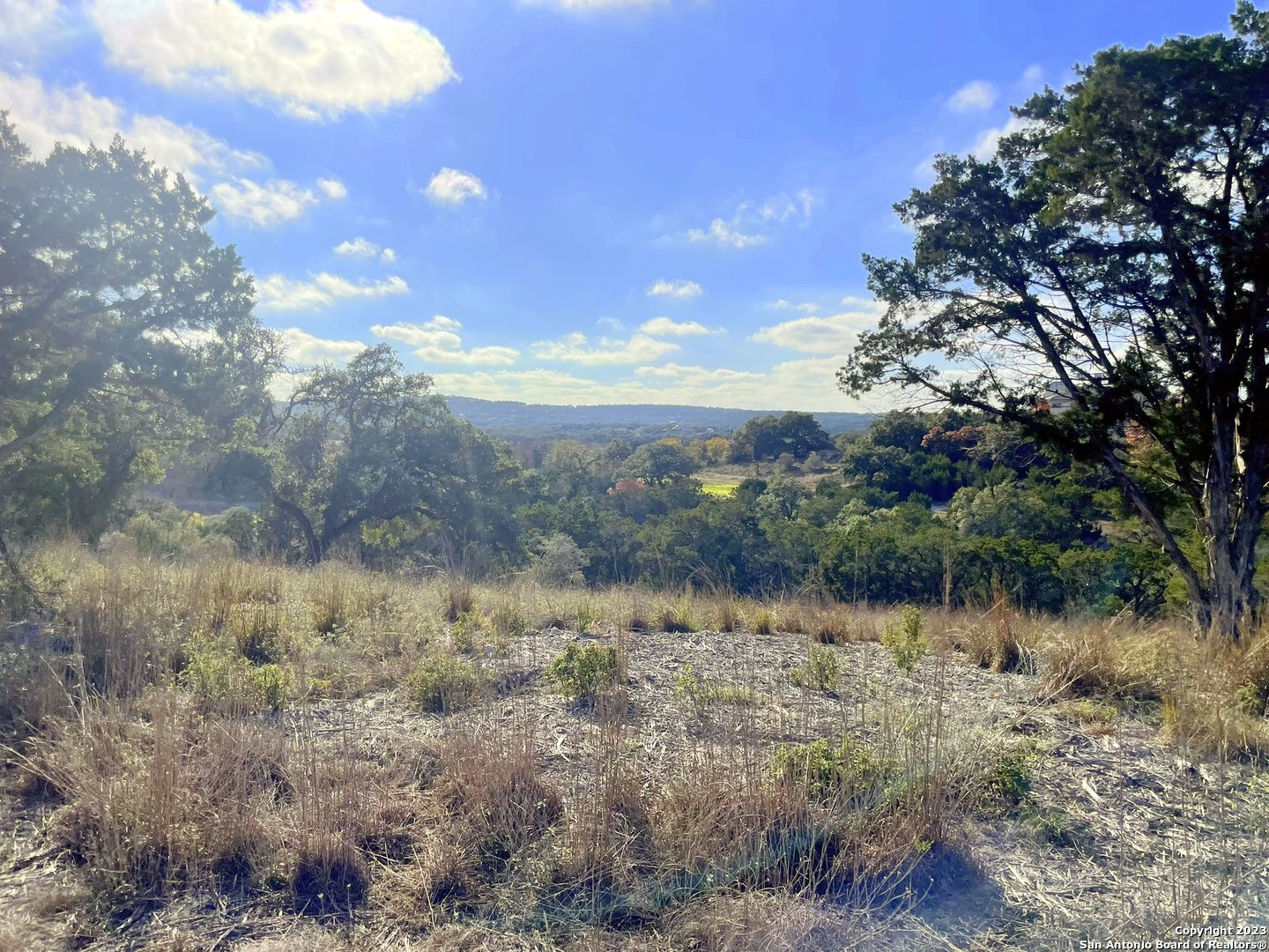 150 Riddle Road Spring Branch, TX 78070 - Photo 1 of 38 a view of a lake with houses in the back