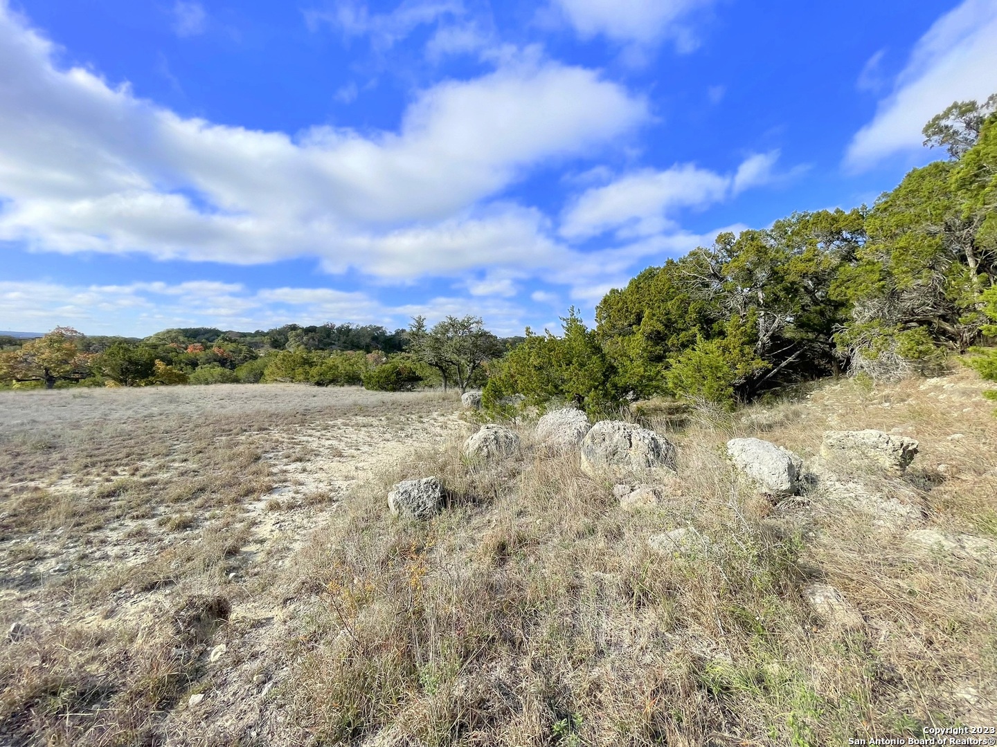 150 Riddle Road Spring Branch, TX 78070 - Photo 14 of 38 a view of a lake with a yard