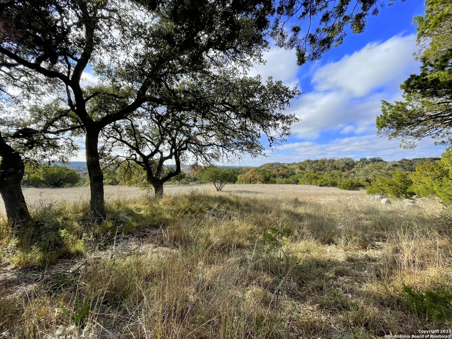 150 Riddle Road Spring Branch, TX 78070 - Photo 16 of 38 a view of a yard