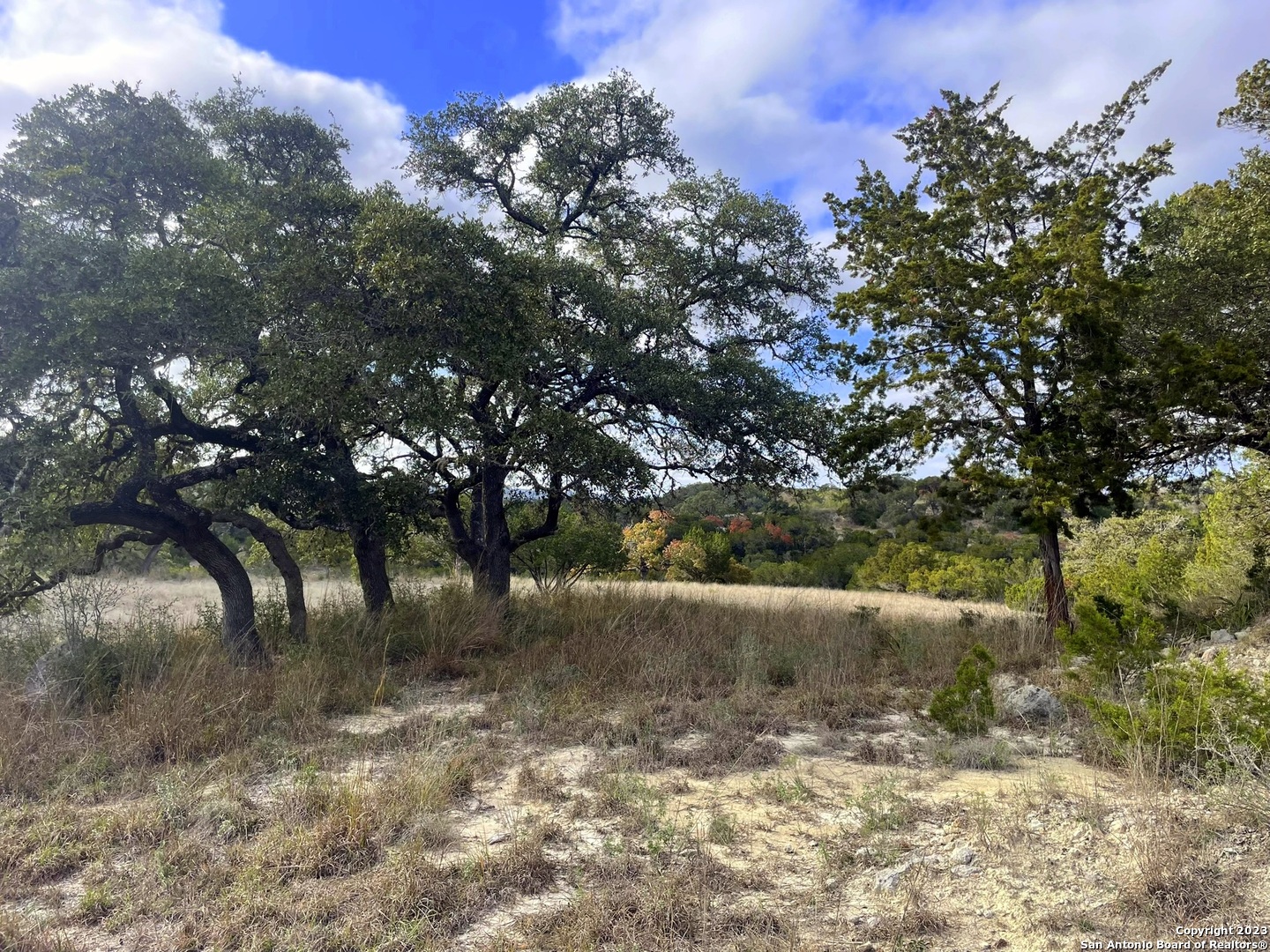 150 Riddle Road Spring Branch, TX 78070 - Photo 18 of 38 a view of an outdoor space
