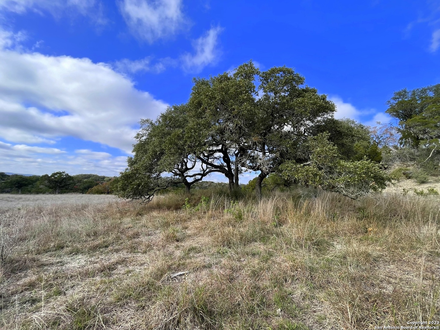 150 Riddle Road Spring Branch, TX 78070 - Photo 20 of 38 a view of lake