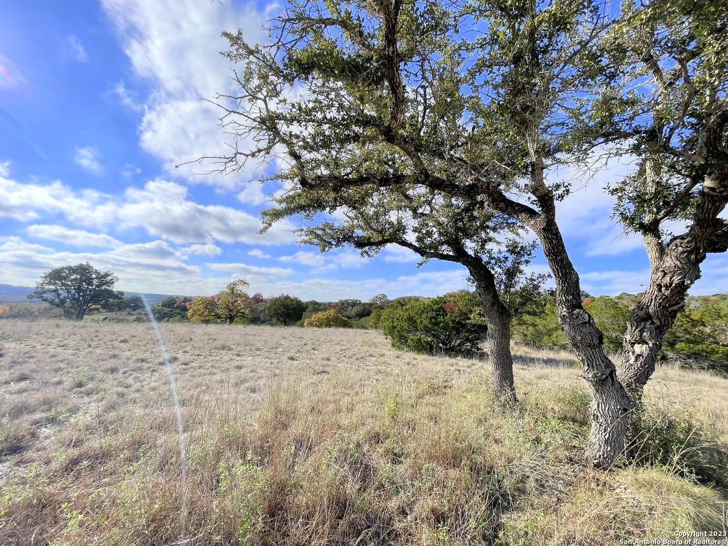 150 Riddle Road Spring Branch, TX 78070 - Photo 3 of 38 a view of dirt yard with a tree