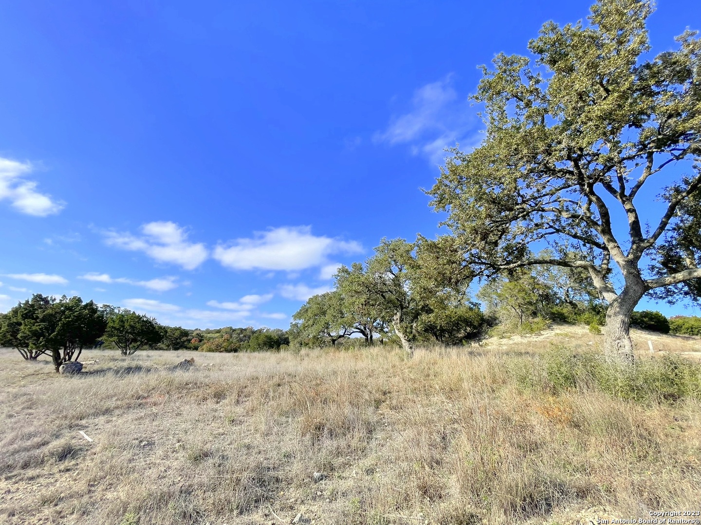 150 Riddle Road Spring Branch, TX 78070 - Photo 7 of 38 a view of a yard with a tree