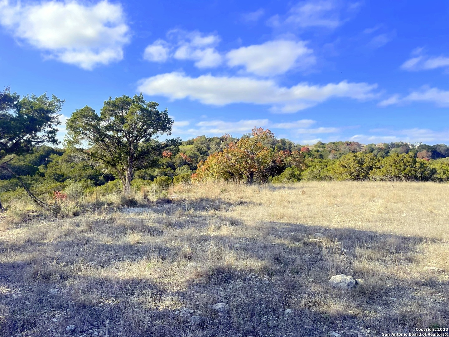 150 Riddle Road Spring Branch, TX 78070 - Photo 8 of 38 a view of lake view with lots of trees
