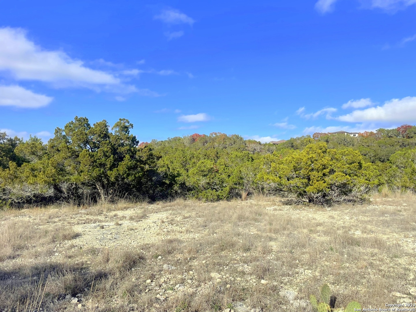 150 Riddle Road Spring Branch, TX 78070 - Photo 10 of 38 a view of a yard with a tree