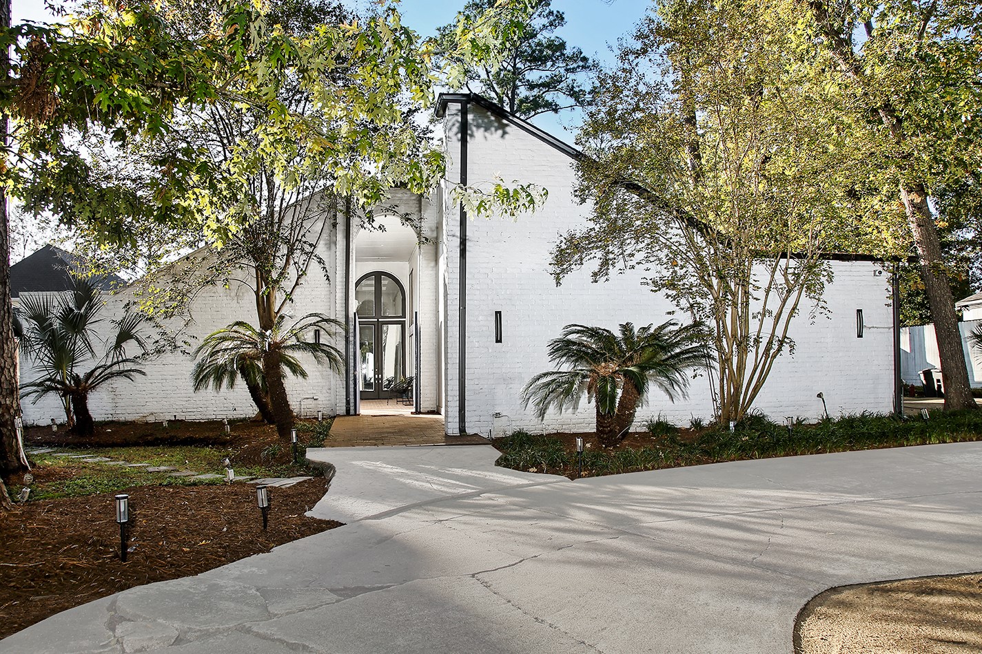 a view of a park with plants and trees