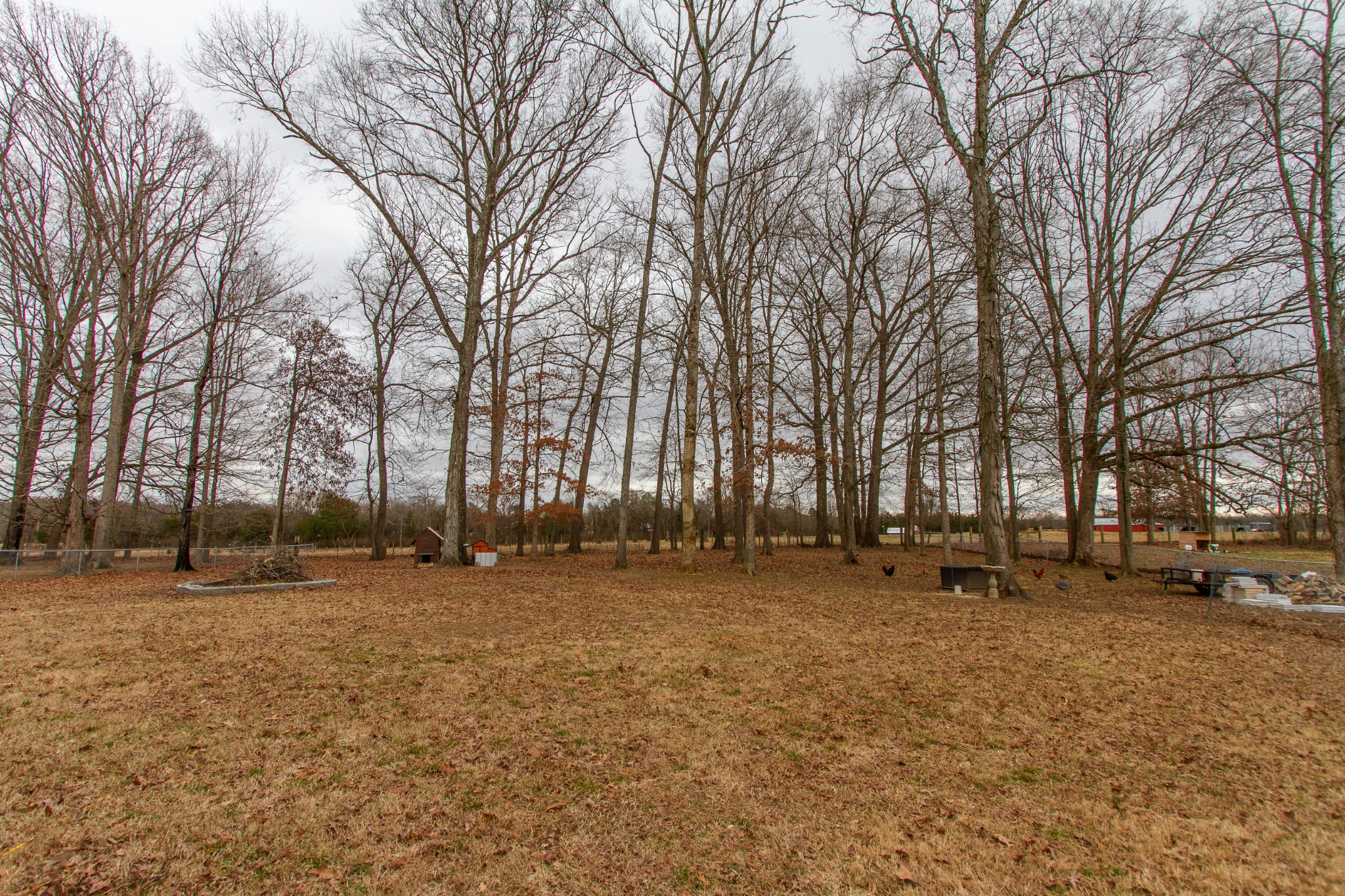 139 Deer Point Road Unionville, TN 37180 - Photo 38 of 43