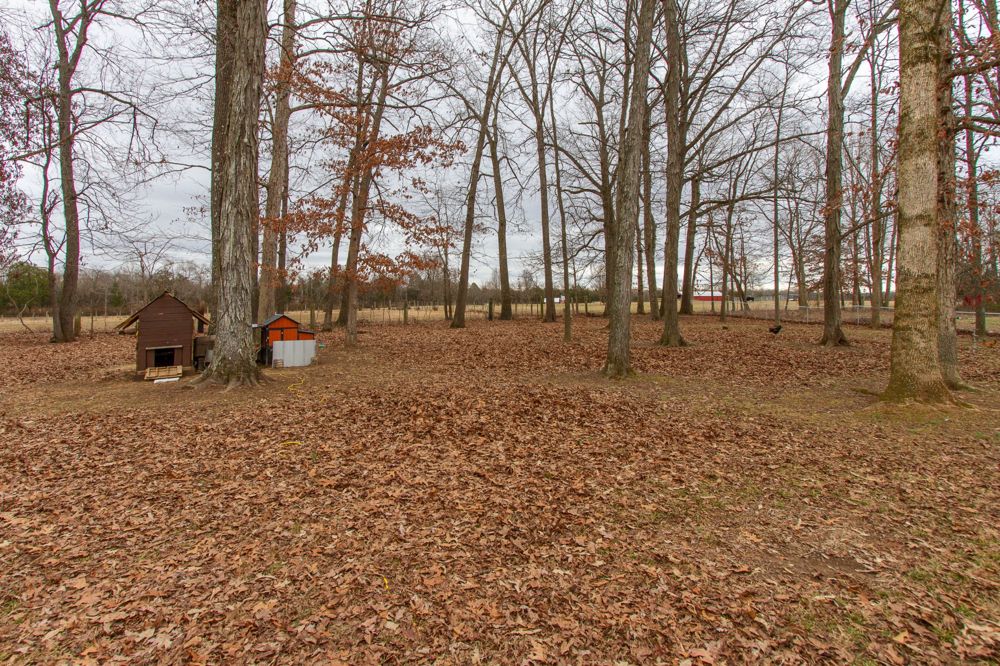 139 Deer Point Road Unionville, TN 37180 - Photo 42 of 43