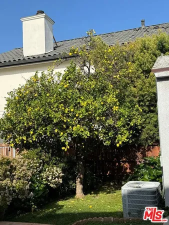 a view of a yard