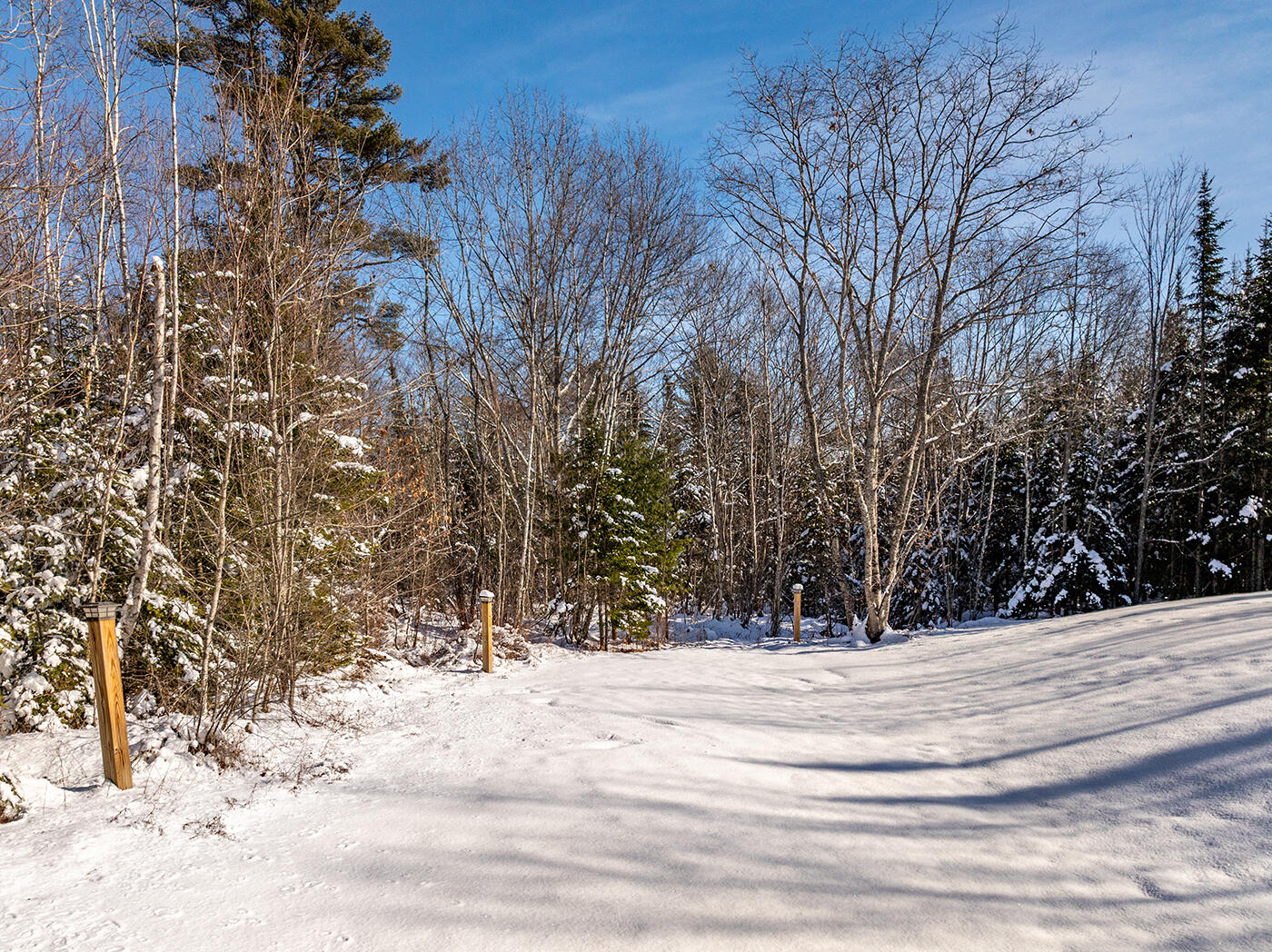 186 Pistols N Petals Road Warren, ME 04864 - Photo 30 of 41 DJI_0475