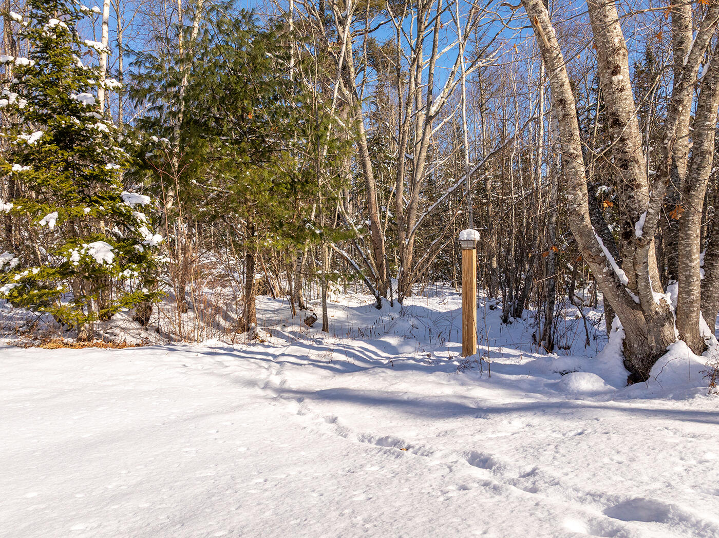 186 Pistols N Petals Road Warren, ME 04864 - Photo 31 of 41 DJI_0478