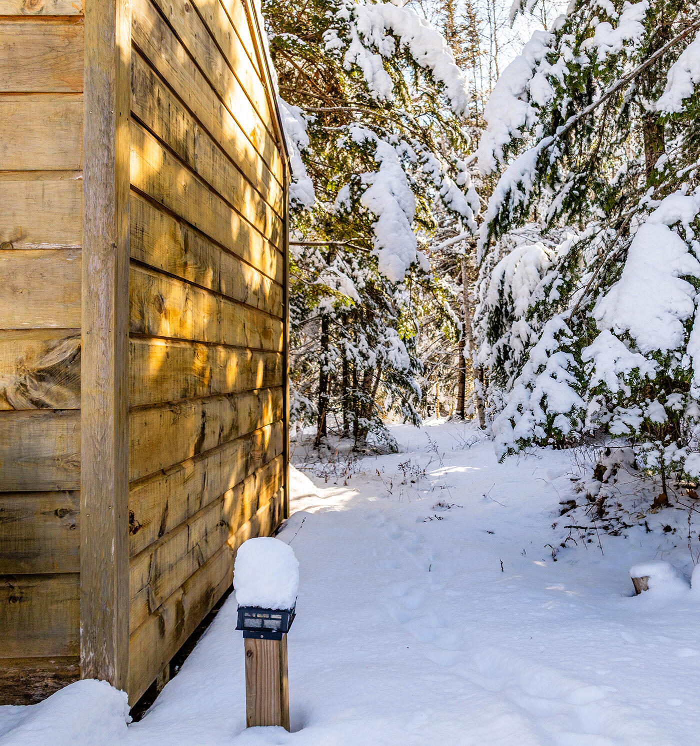 186 Pistols N Petals Road Warren, ME 04864 - Photo 37 of 41 DJI_0489