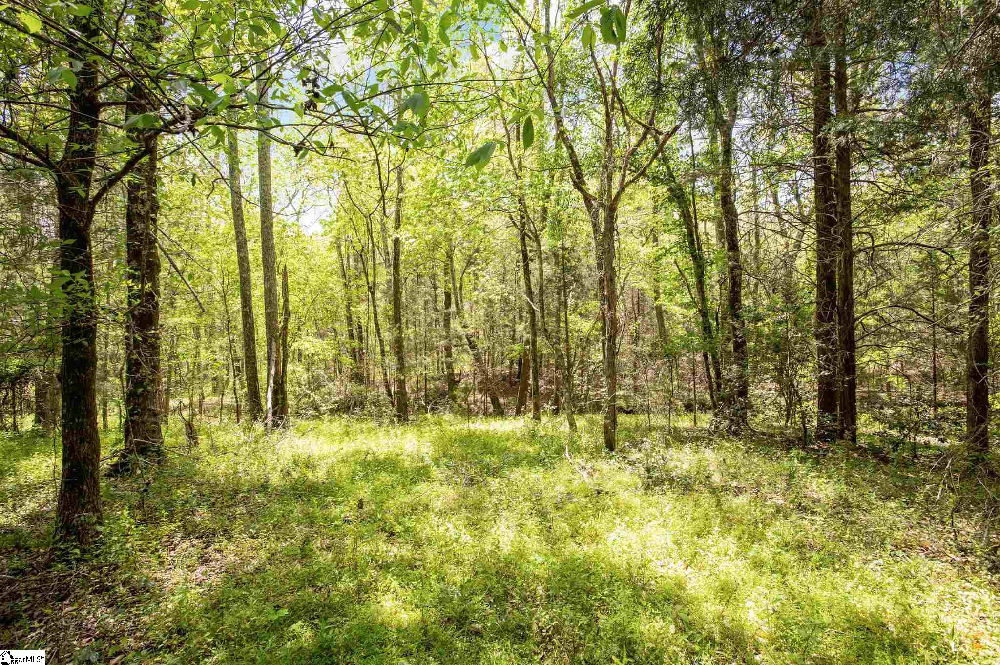 1 Cedar Shoals Church Road, Unit LOT 1 Enoree, SC 29335 - Photo 3 of 9