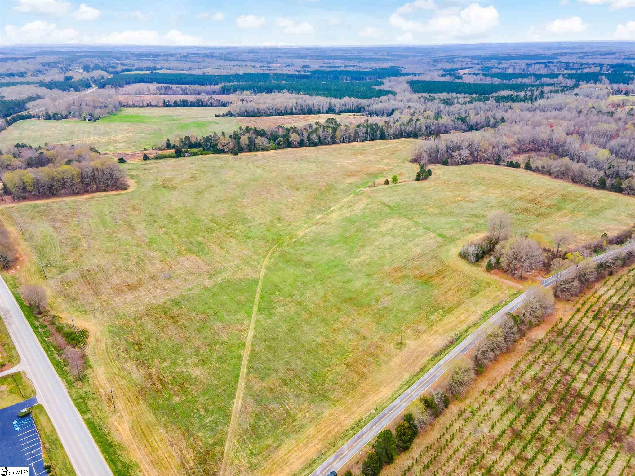 1 Cedar Shoals Church Road, Unit LOT 1 Enoree, SC 29335 - Photo 4 of 9