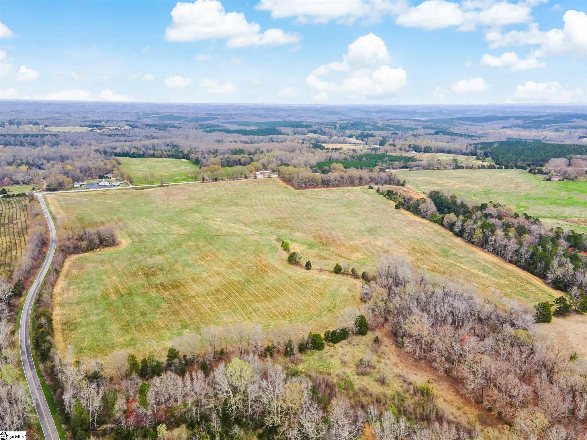 1 Cedar Shoals Church Road, Unit LOT 1 Enoree, SC 29335 - Photo 8 of 9
