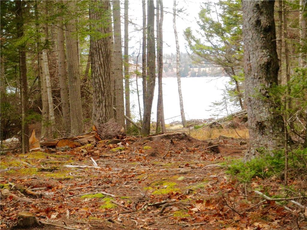 57 Ames Point Road North Haven, ME 04853 - Photo 2 of 9 Entry path, late Fall