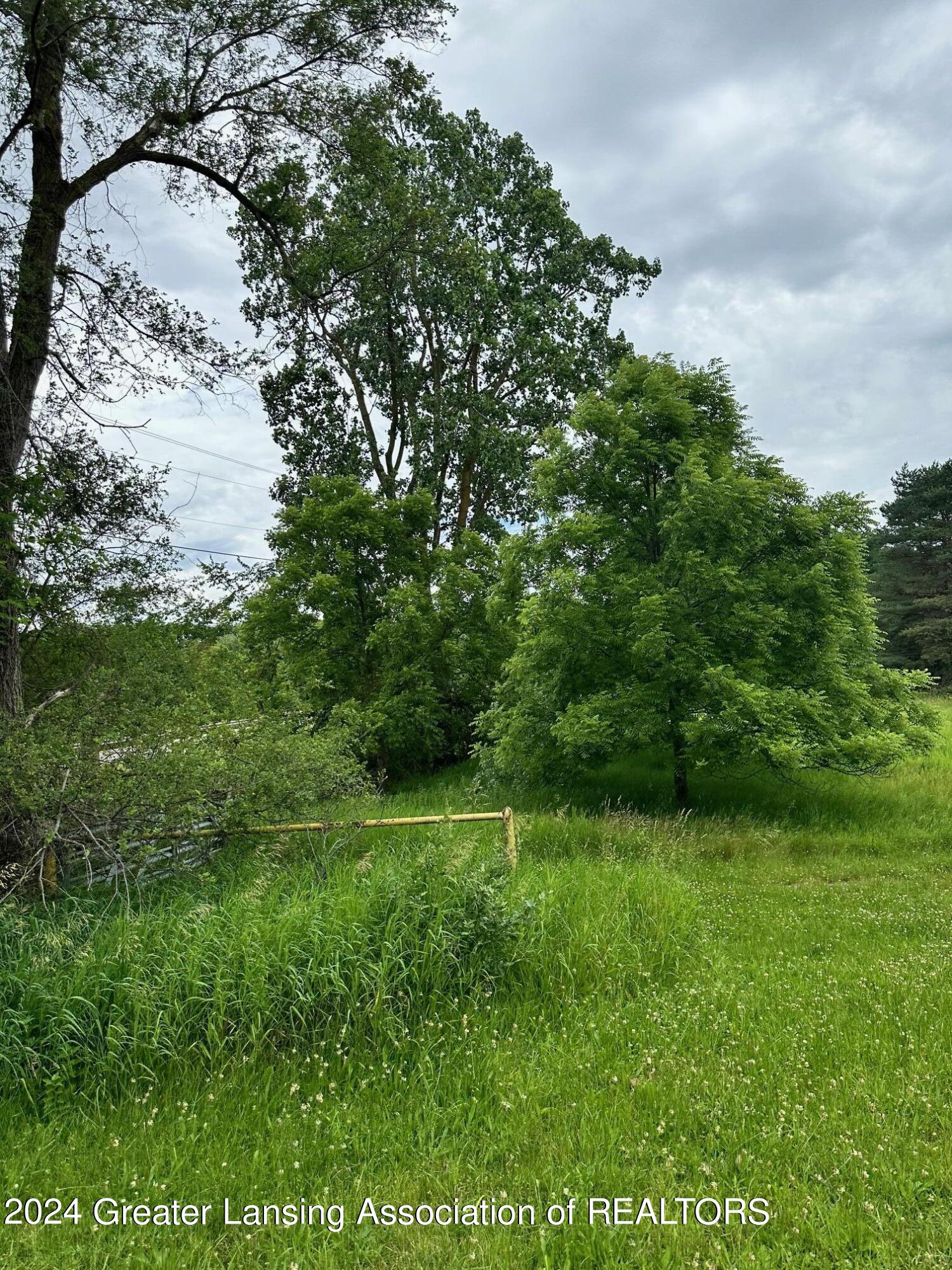 420 Dexter Road Eaton Rapids, MI 48827 - Photo 15 of 21 IMG_8131