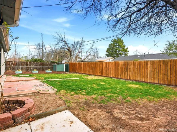 a view of a yard with a large tree