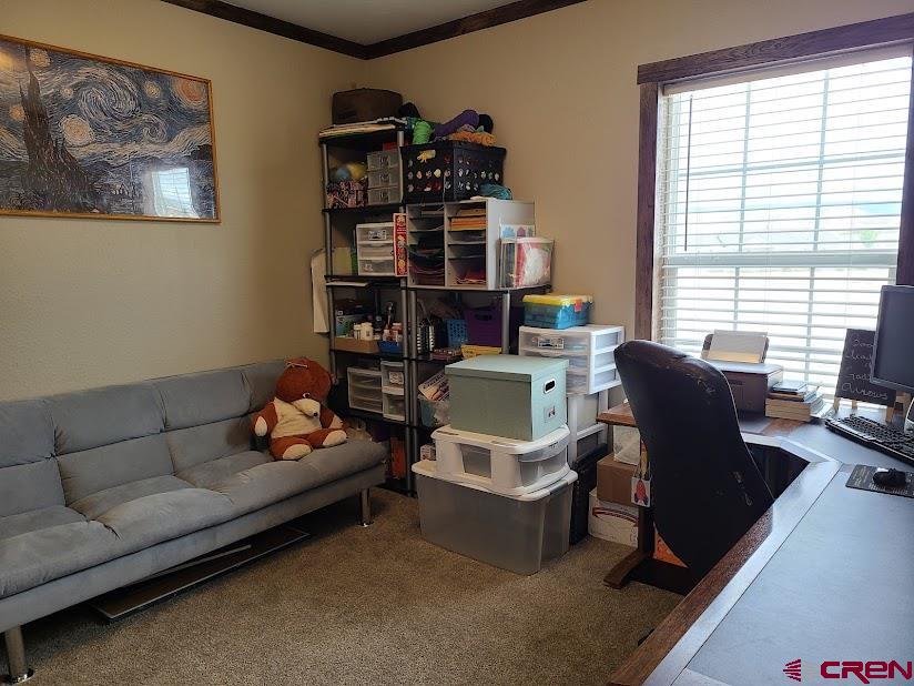 21238 Friendship Road Delta, CO 81416 - Photo 16 of 23 a living room with furniture a bookshelf and a window