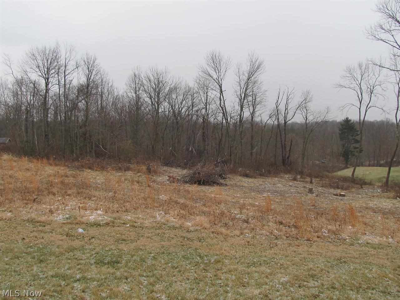 0 Zunick Road Bridgeport, OH 43912 - Photo 1 of 1 Gallery Image 1