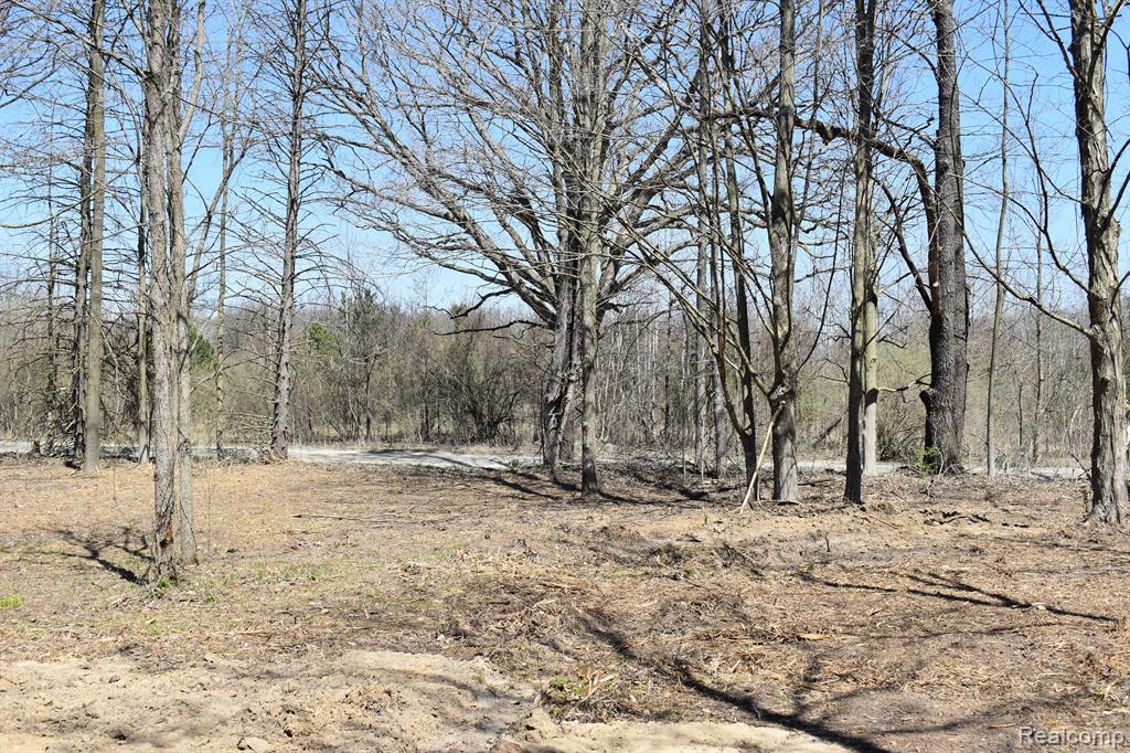 P-8 West Allen Road Howell, MI 48855 - Photo 3 of 3