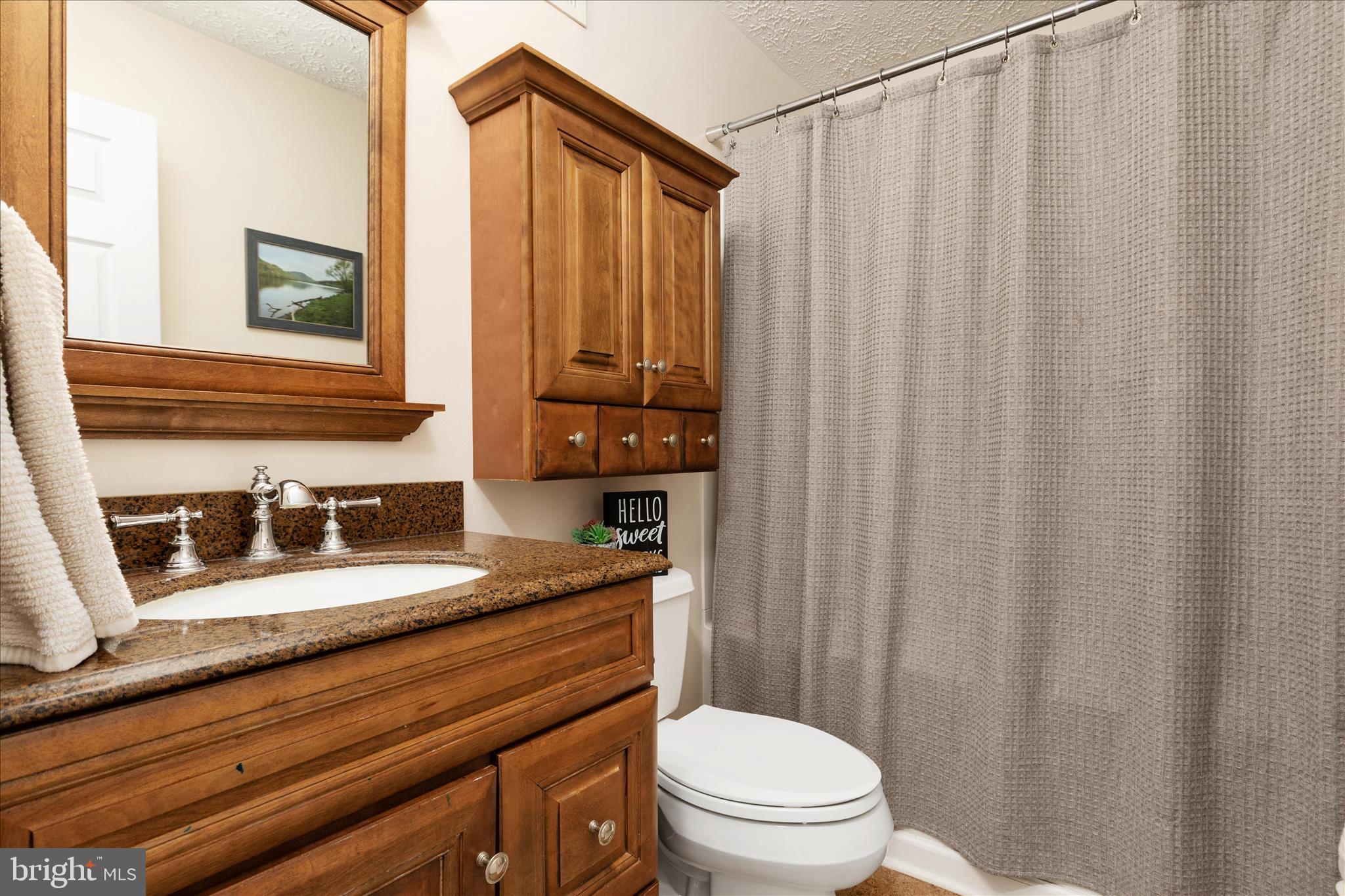 203 Alpine Meadow Road Winchester, VA 22602 - Photo 34 of 90 Gallery Image 34