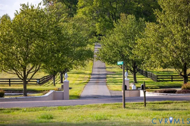 a view of yard along with trees