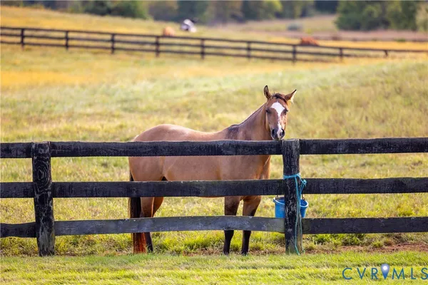 $2,900,000 | 61451 Elmwood Farm Road, Orange, VA 22960