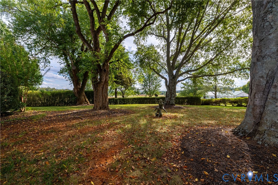 61451 Elmwood Farm Road Orange, VA 22960 - Photo 48 of 50