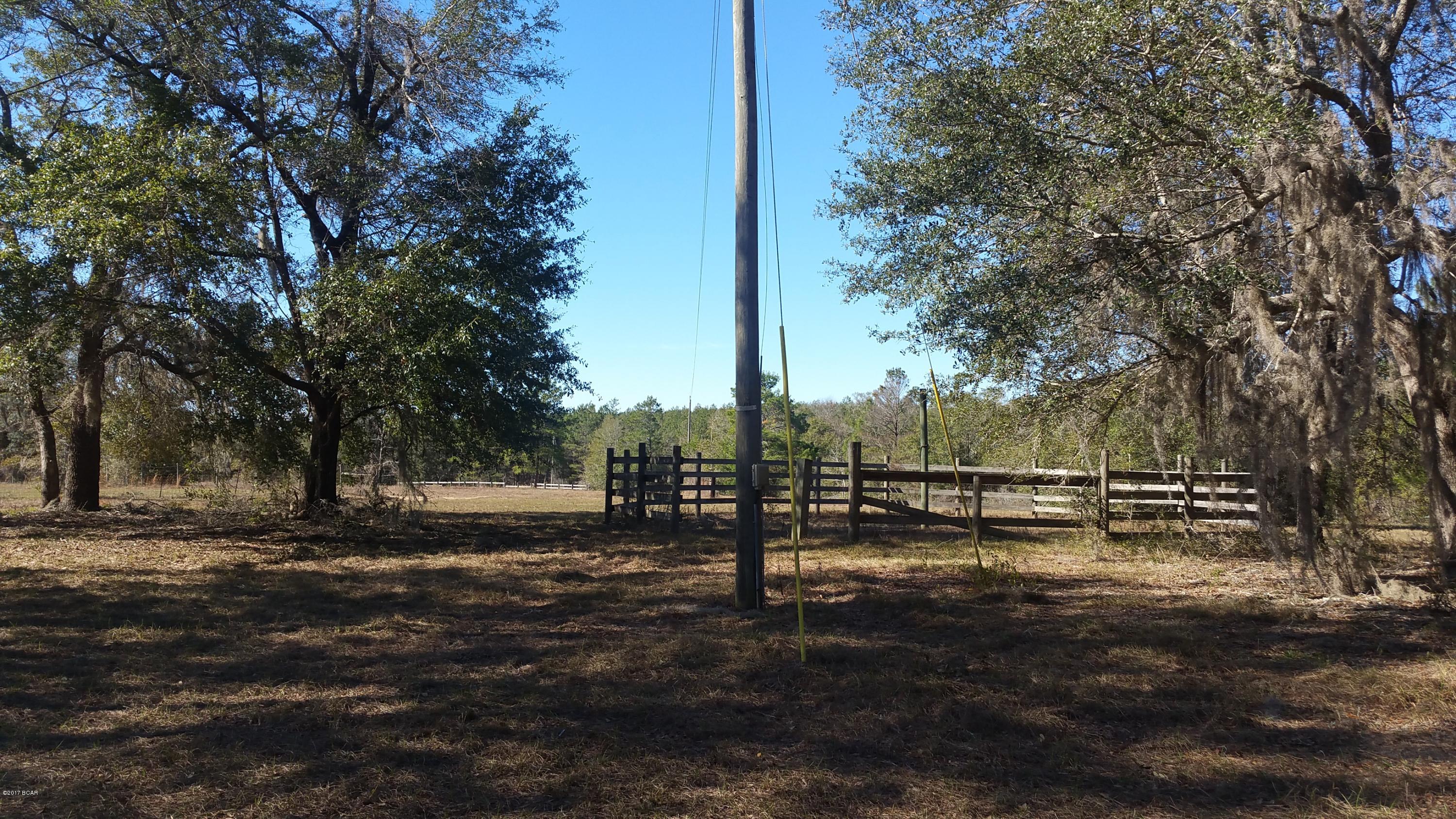 3737 Hicks Lake Road Vernon, FL 32462 - Photo 5 of 28 Gallery Image 5