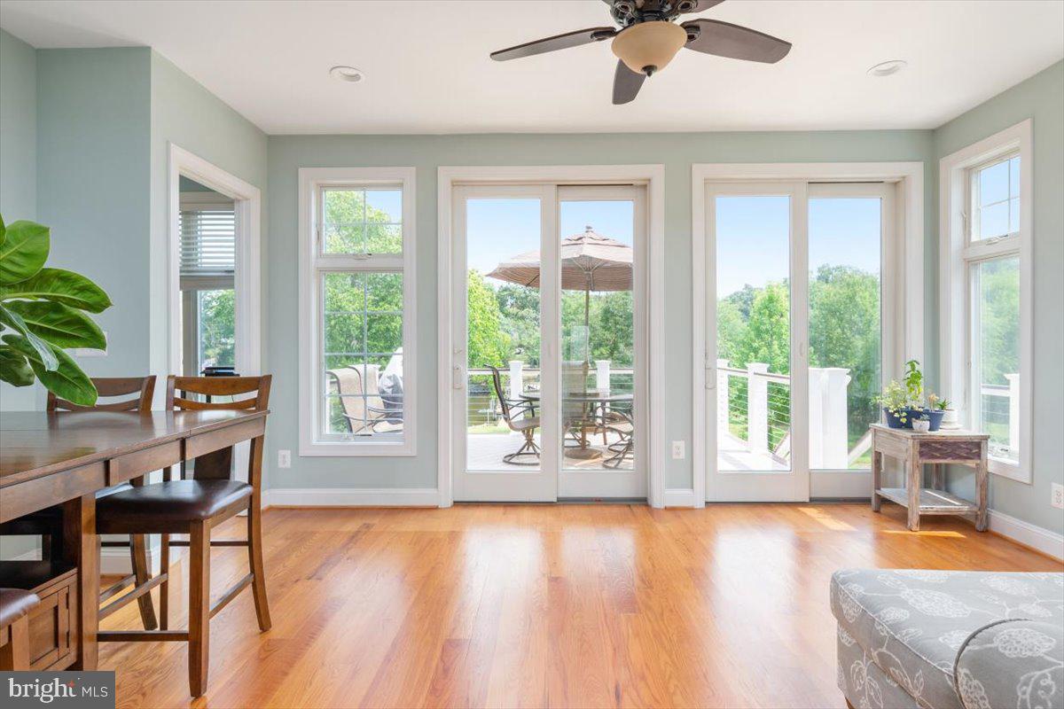 769 Powhatan Beach Road Pasadena, MD 21122 - Photo 35 of 70 Gallery Image 35