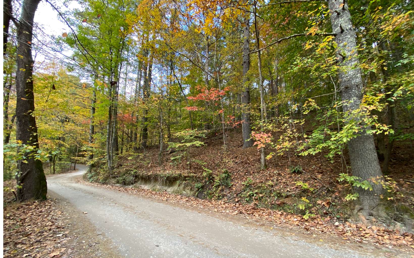 38-39 River Bend Road Ellijay, GA 30540 - Photo 3 of 4 Additional View