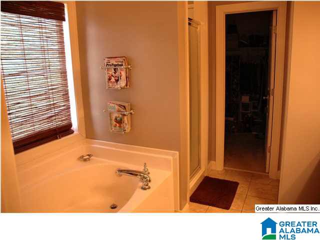 152 Abigail Trail Springville, AL 35146 - Photo 19 of 31