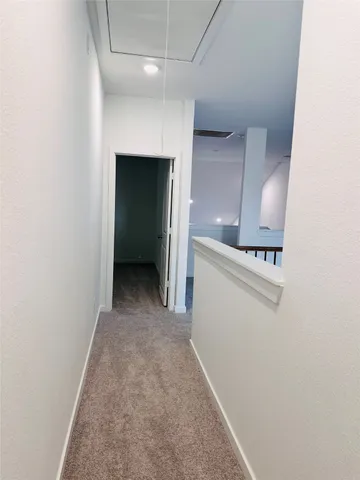 a view of a backyard with potted plants and large tree