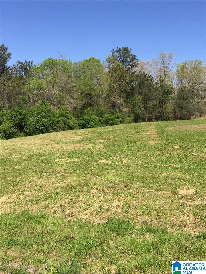 184 Country View Road Cleveland, AL 35049 - Photo 36 of 42 Gallery Image 36