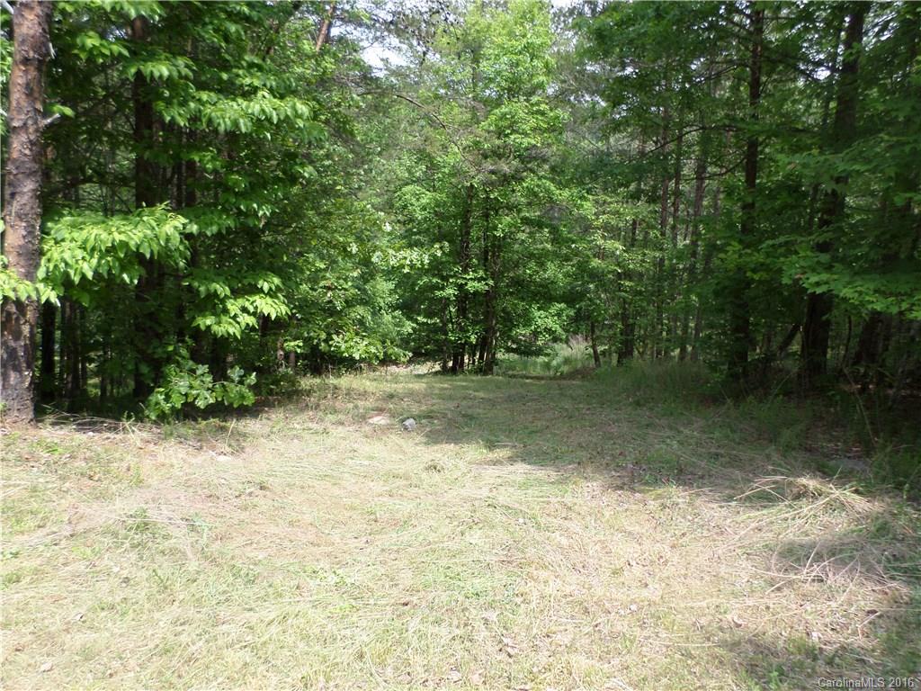 8 Point Ln Mill Spring, Unit 8 Mill Spring, NC 28756 - Photo 3 of 13