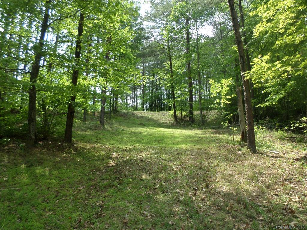 8 Point Ln Mill Spring, Unit 8 Mill Spring, NC 28756 - Photo 7 of 13