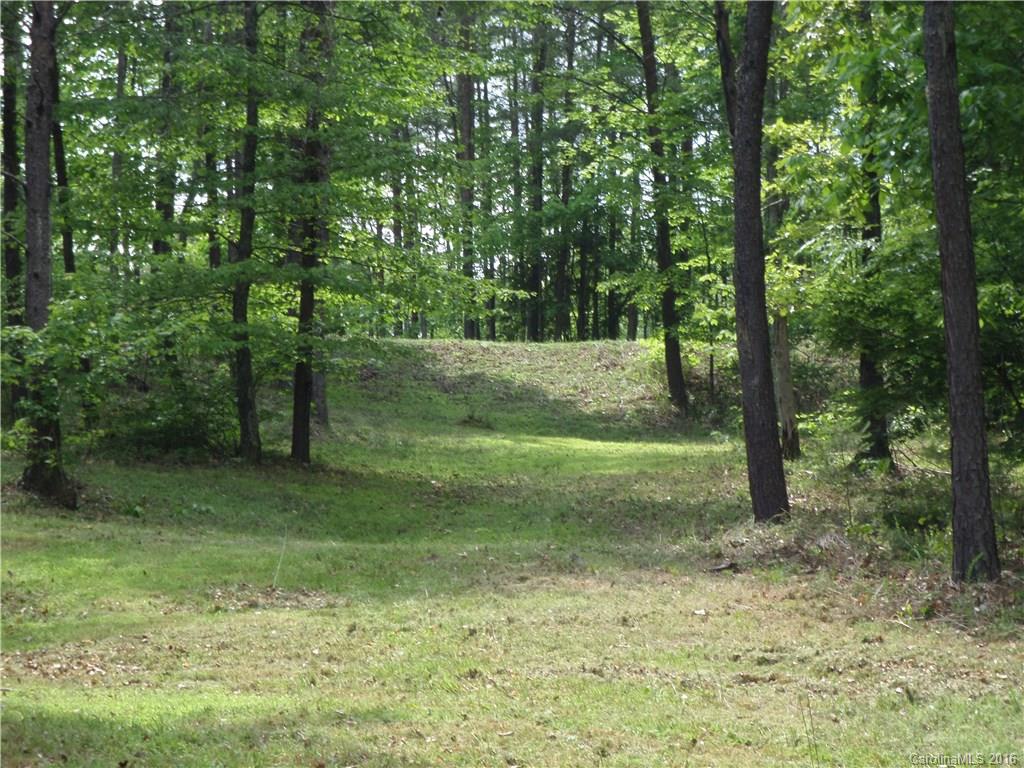 8 Point Ln Mill Spring, Unit 8 Mill Spring, NC 28756 - Photo 10 of 13