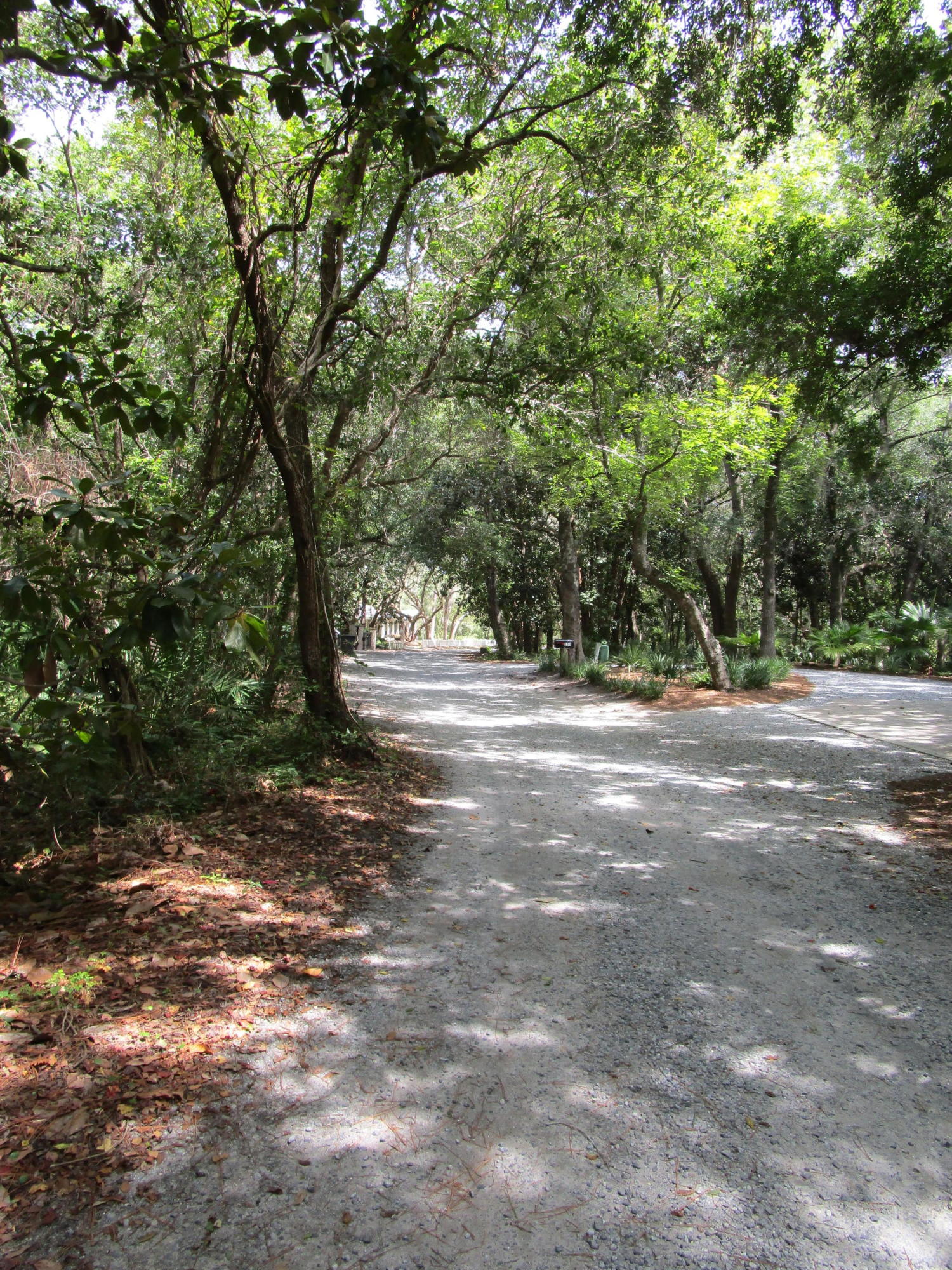 Lot 13 Grayton Trails Road Santa Rosa Beach, FL 32459 - Photo 8 of 8 a view of outdoor space with trees