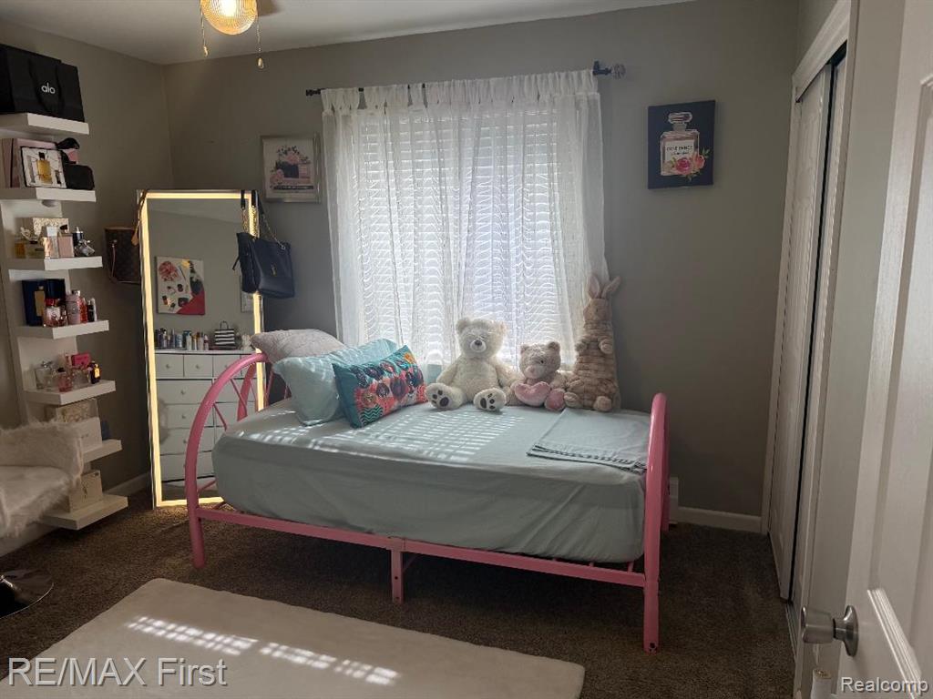 11386 Canal Road Sterling Heights, MI 48314 - Photo 10 of 22 Gallery Image 10