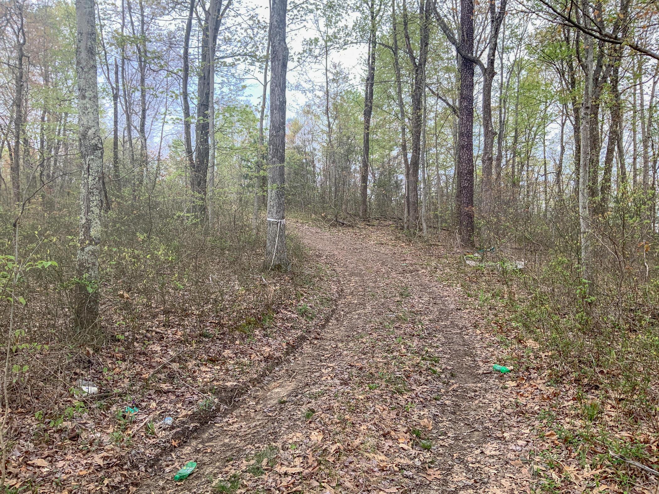 0 West Clark Road Ray, OH 45672 - Photo 2 of 9 IMG_0497