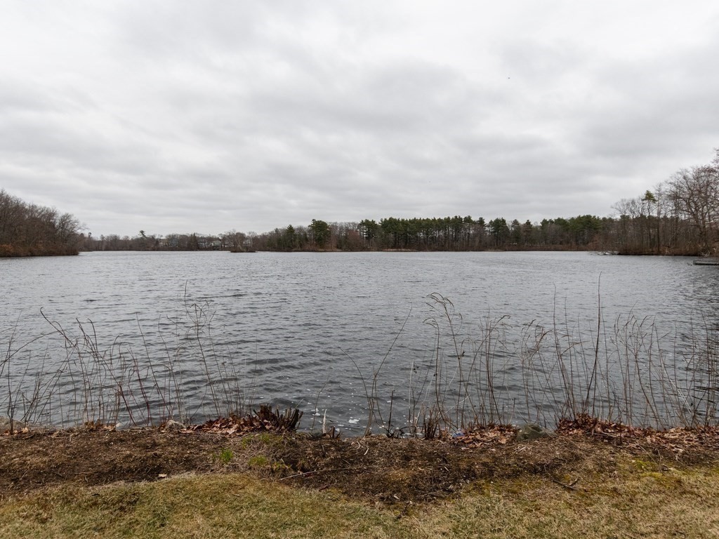 43 Angleside Road, Unit 1 Waltham, MA 02453 - Photo 25 of 27 Gallery Image 25