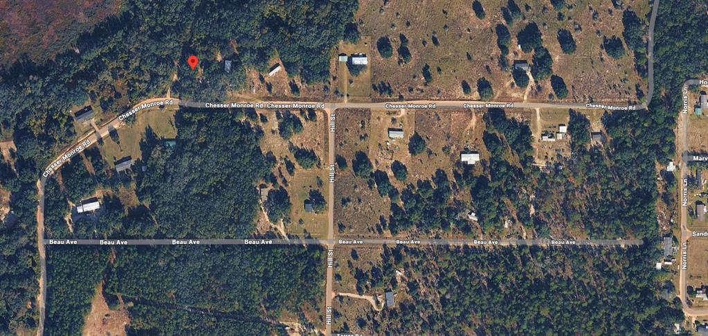 311 Chesser Monroe Road Hawthorne, FL 32640 - Photo 11 of 11