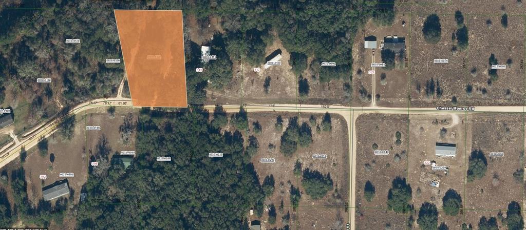 311 Chesser Monroe Road Hawthorne, FL 32640 - Photo 9 of 11