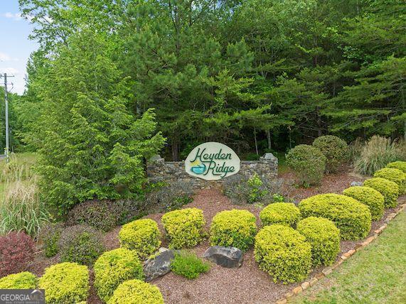 a view of a garden with plants
