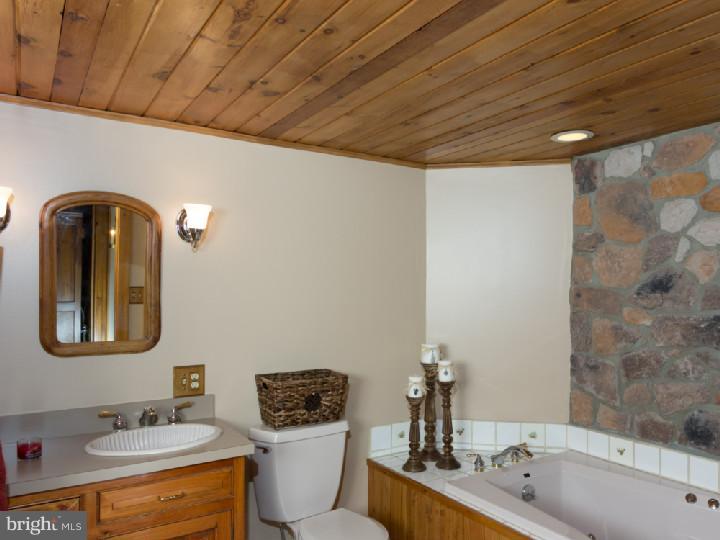 816 Rosemont Ringoes Road Stockton, NJ 08559 - Photo 13 of 25 Master Bathroom