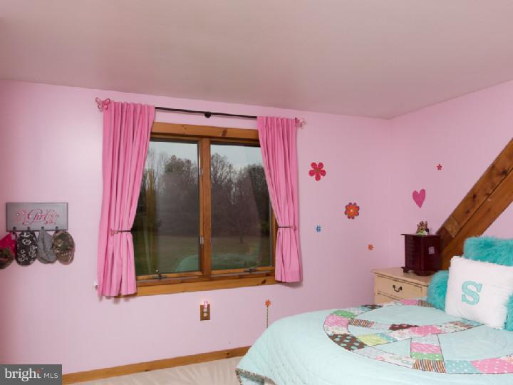 816 Rosemont Ringoes Road Stockton, NJ 08559 - Photo 17 of 25 Bedroom 2