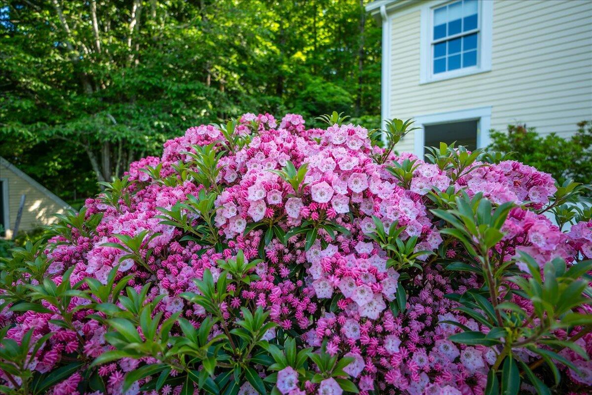 8 Austin Road Newcastle, ME 04553 - Photo 75 of 115 8 Old Austin Rd, Newcastle