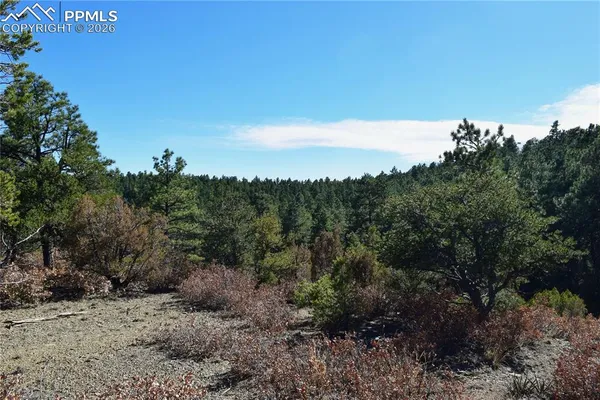 $65,000 | 0 Ponderosa Trail, Trinidad, CO 81082